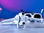 Immagine 1