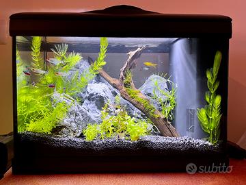 Acquario Nuovo, Completo,Montaggio e Avvio inclusi