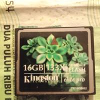 Kingston elite pro compact flash