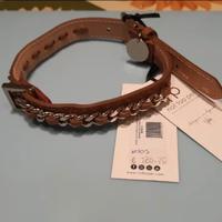 collare taglia piccola not too pet