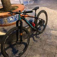 torpado factory ribot S 29 carbonio