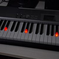 Tastiera casio LK 120