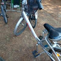 bicicletta elettrica 