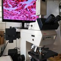 microscopio leitz dmr