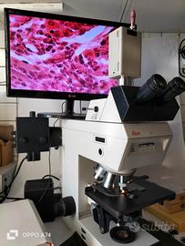 microscopio leitz dmr