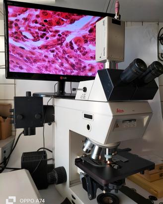 microscopio leitz dmr