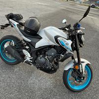 Mt 03 2026
