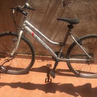 Bici bianca Frejus Sportbike