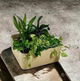 KARTELL  fioriera 4682 MODERNARIATO 