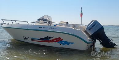 Renato Molinari Falcon 560