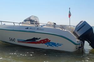 Renato Molinari Falcon 560