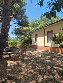 Deliziosa villetta nel parco dell"Etna