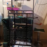 gabbia per pappagalli grandi 