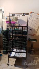 gabbia per pappagalli grandi 