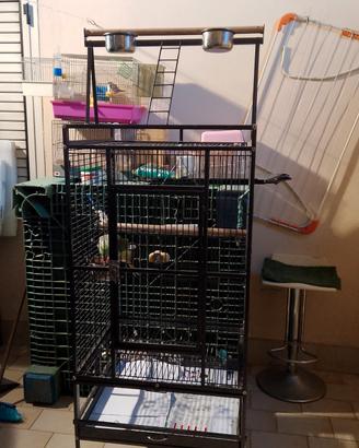 gabbia per pappagalli grandi 