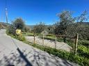 ter-residenziale-a-imperia