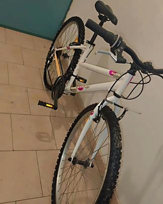 Bicicletta