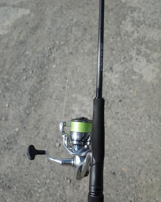 Shimano Dialuna S80MH
