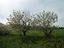 Immagine 22
