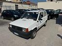 fiat-panda-1-serie-900-i-e-cat-young