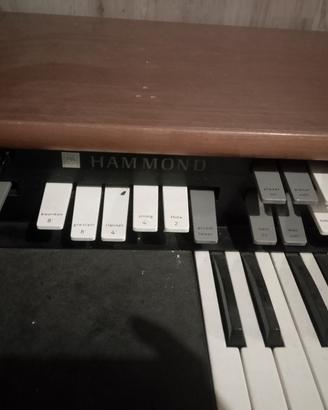 organo hammond e Leslie trep 