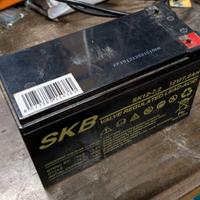 Batteria 12v ricaricabile al piombo