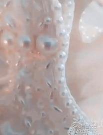 Abito da sposa tulle e pizzo francese