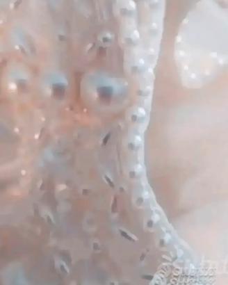 Abito da sposa tulle e pizzo francese