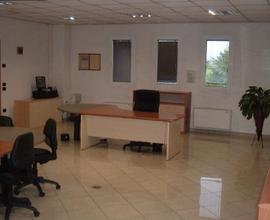 Centro business con uffici di pregio e capannone
