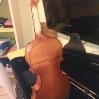 violino