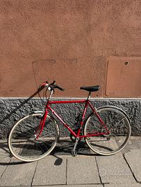 Bicicletta