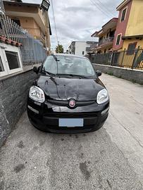 Panda 1.0 hibryd 2025