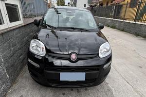 Panda 1.0 hibryd 2025