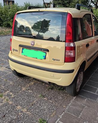 FIAT PANDA 1200 DYNAMIC NATURAL POWER 2009