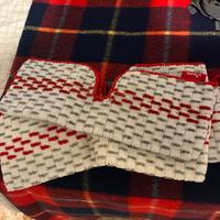 Panno Vileda spray max