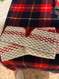 Panno Vileda spray max