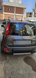 panda ibrida 