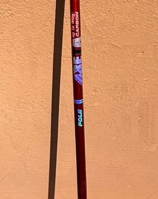 Canna da pesca