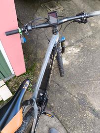bici elettrica 