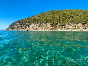 Aff. appartamento a 13 metri dal mare