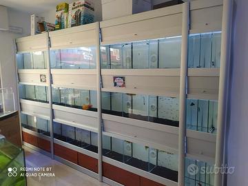 Espositore per pesci