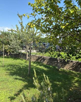 Immobile di 54 m² a Quarrata