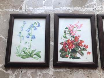 4 Quadretti floreali - stampe