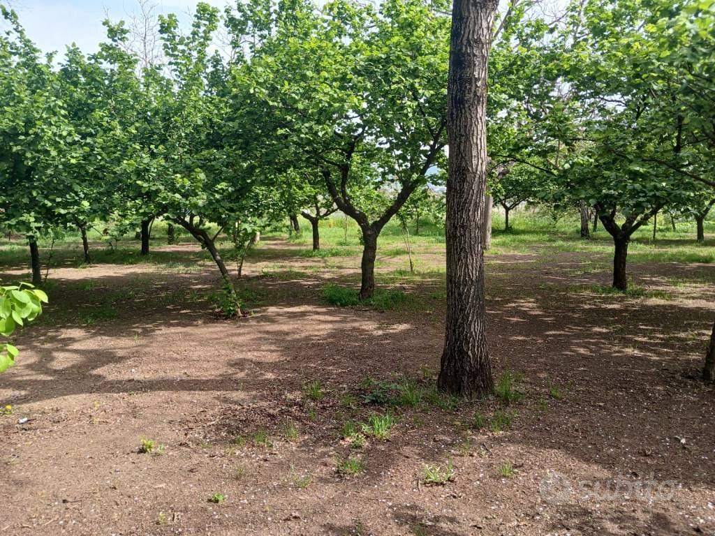 Terreno di 2200 m² a Mercato San Severino - Altro