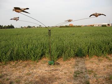 Caccia girandola colombacci, storni, allodole