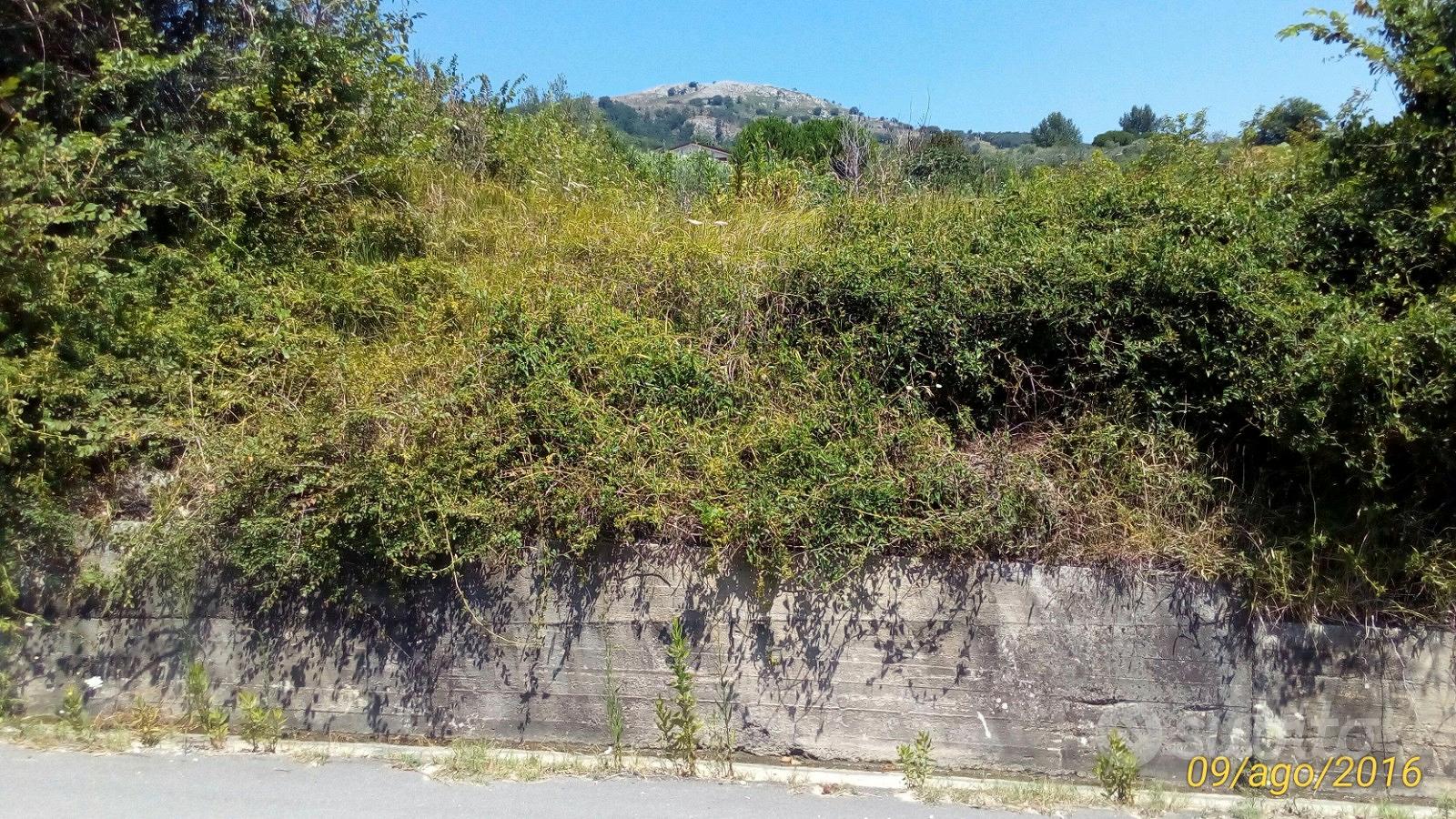 Terreno agricolo - Vista 4