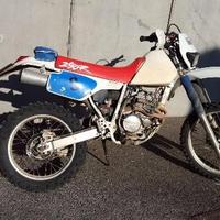 Honda Dall'Ara XR 250 - 1993