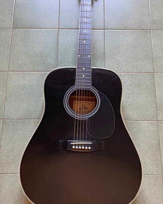 Chitarra acustica eko
