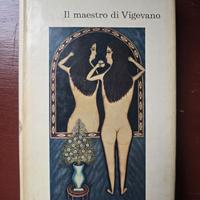 Il maestro di Vigevano , Lucio Mastronardi 