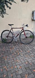 bianchi 